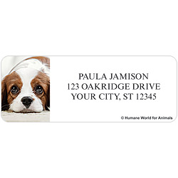 Humane World for Animals Dogs Address Labels