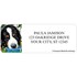 Humane World for Animals Dogs Address Labels